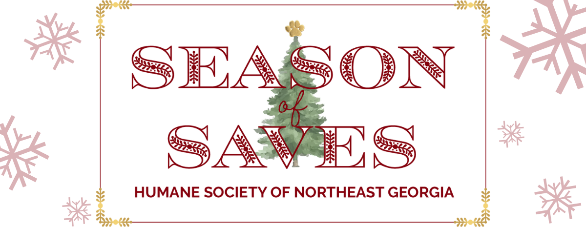 Season of Saves 2024 - Giving Tuesday